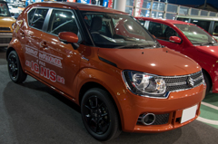 IGNIS