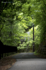 イタリア大使館別荘記念公園