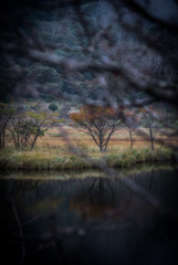 紅葉までもう少し。