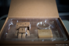 DANBOARD