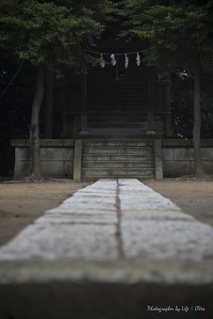 いろは坂を登ると