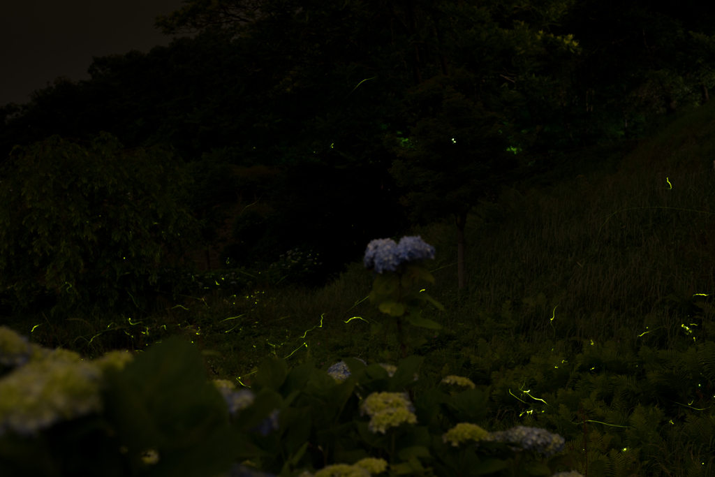 20160604