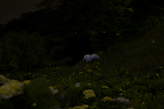 20160604