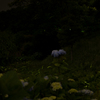 20160604