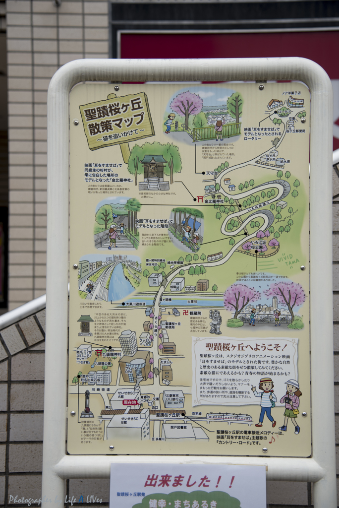 いろは坂を登ると