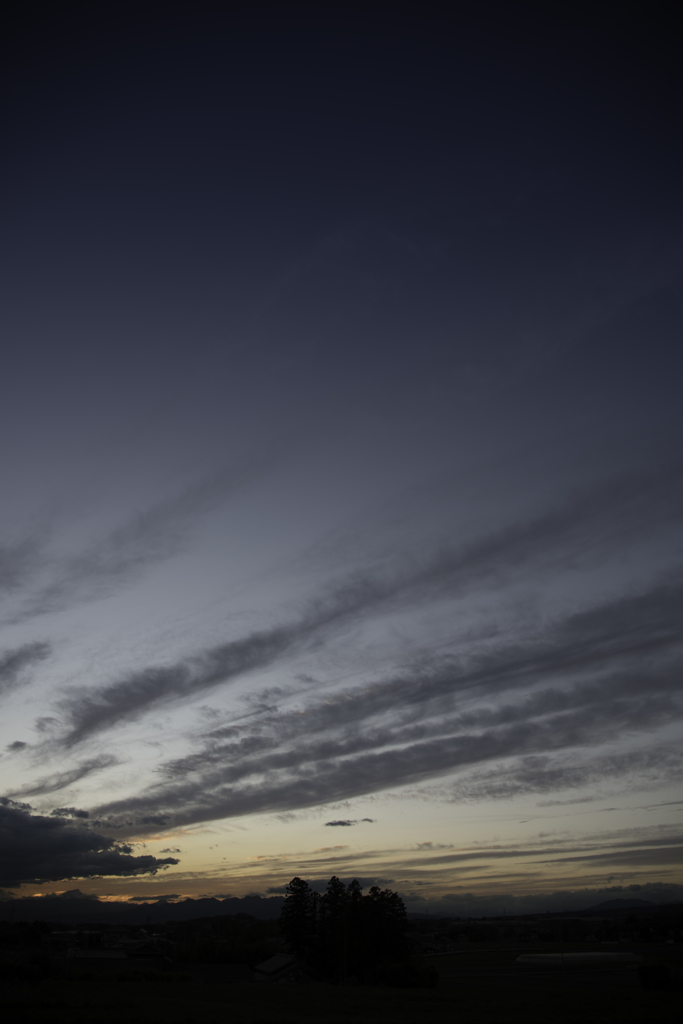 春の夕暮れ空
