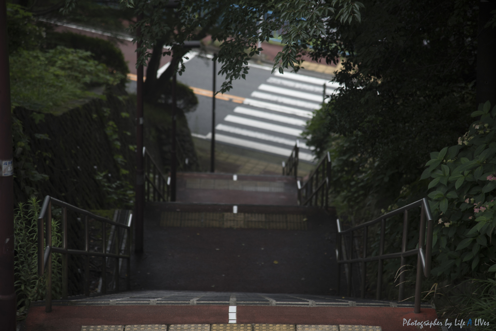 いろは坂を登ると