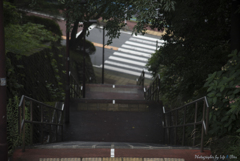 いろは坂を登ると