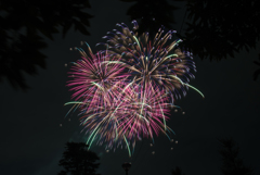 空に咲く花の下で