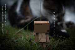 ダンボークエスト