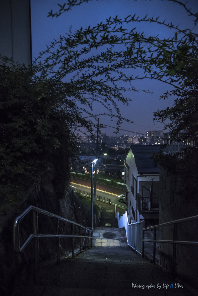 いろは坂を登ると