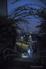 いろは坂を登ると