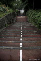 いろは坂を登ると