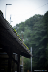 ダンボークエスト