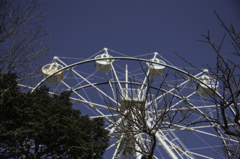 思い出の公園