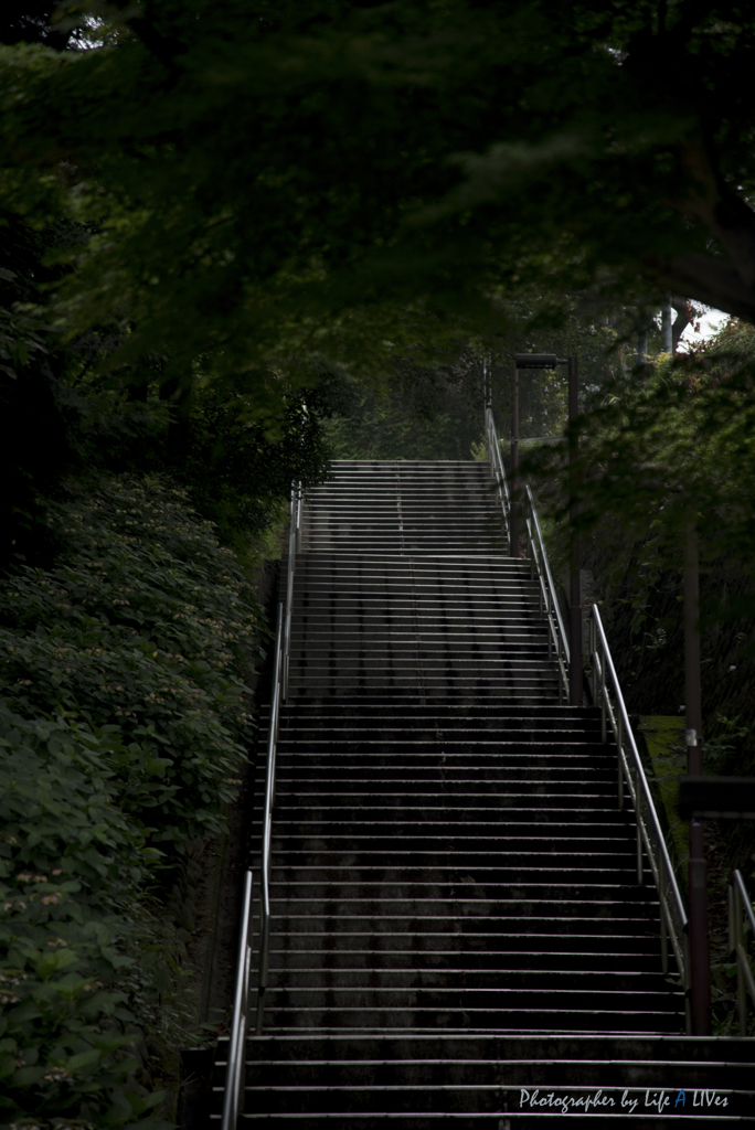 いろは坂を登ると