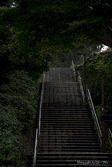 いろは坂を登ると