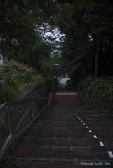 いろは坂を登ると