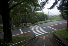 いろは坂を登ると