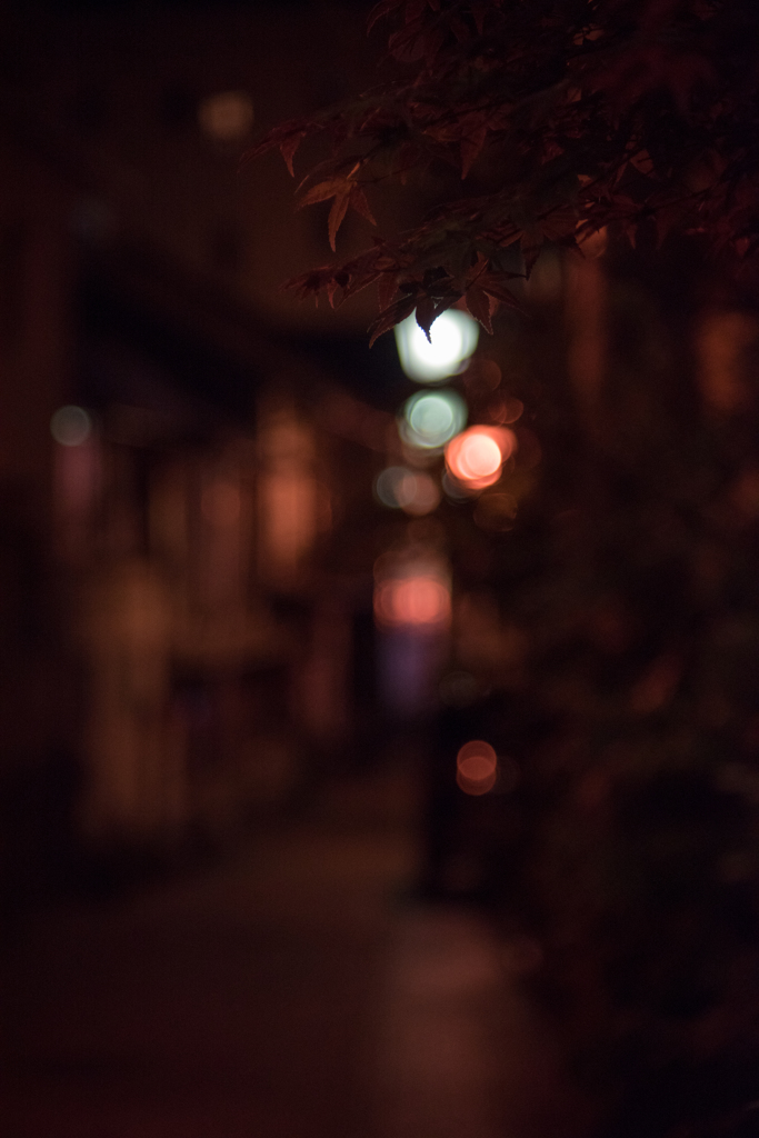 渋温泉街（夜）