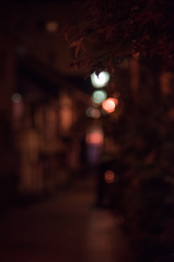 渋温泉街（夜）
