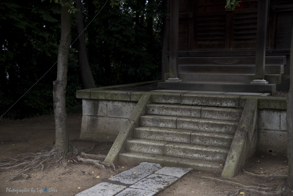 いろは坂を登ると
