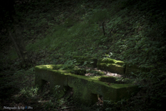 遺構