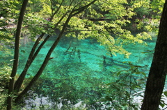 九寨溝　その８