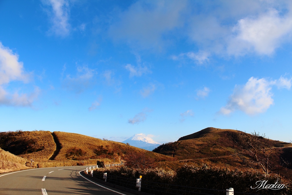 西伊豆スカイライン富士山重奏