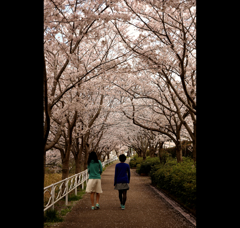 春の散歩道2