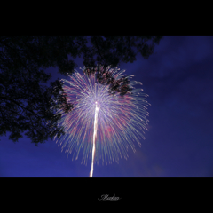 夏の代名詞…