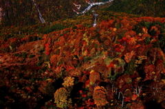 紅く染める