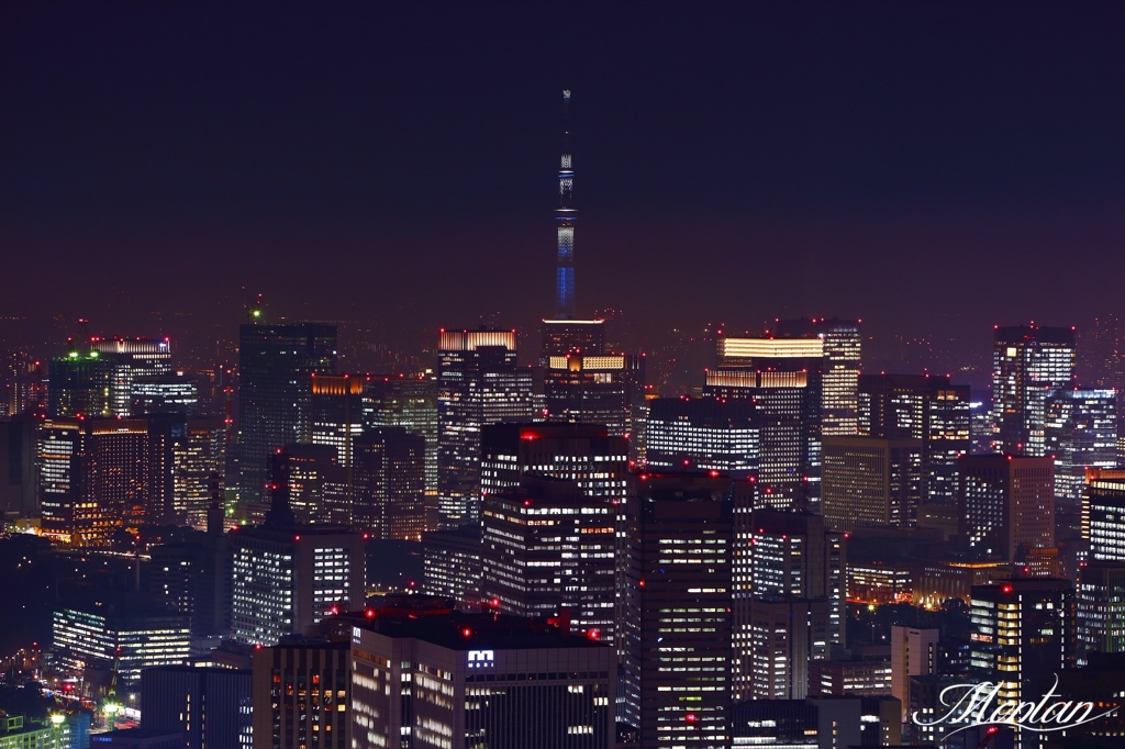 スカイツリー東京を見守る…
