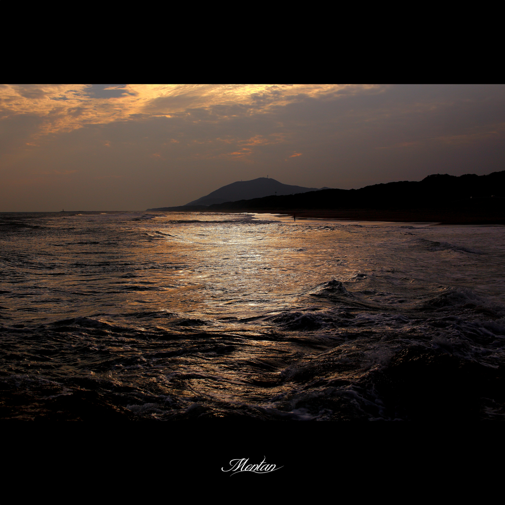 海に光を…