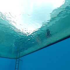 水の中の世界