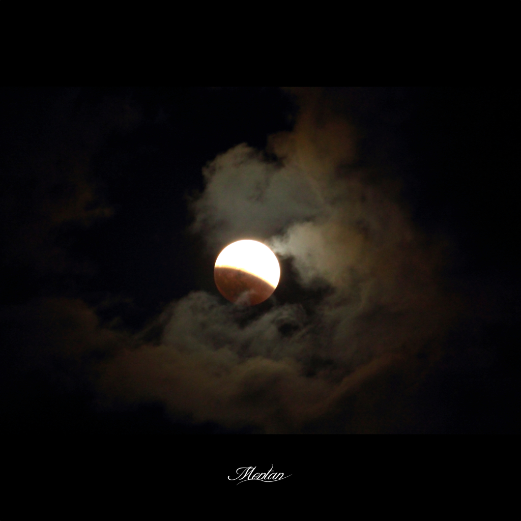 闇夜に光る…