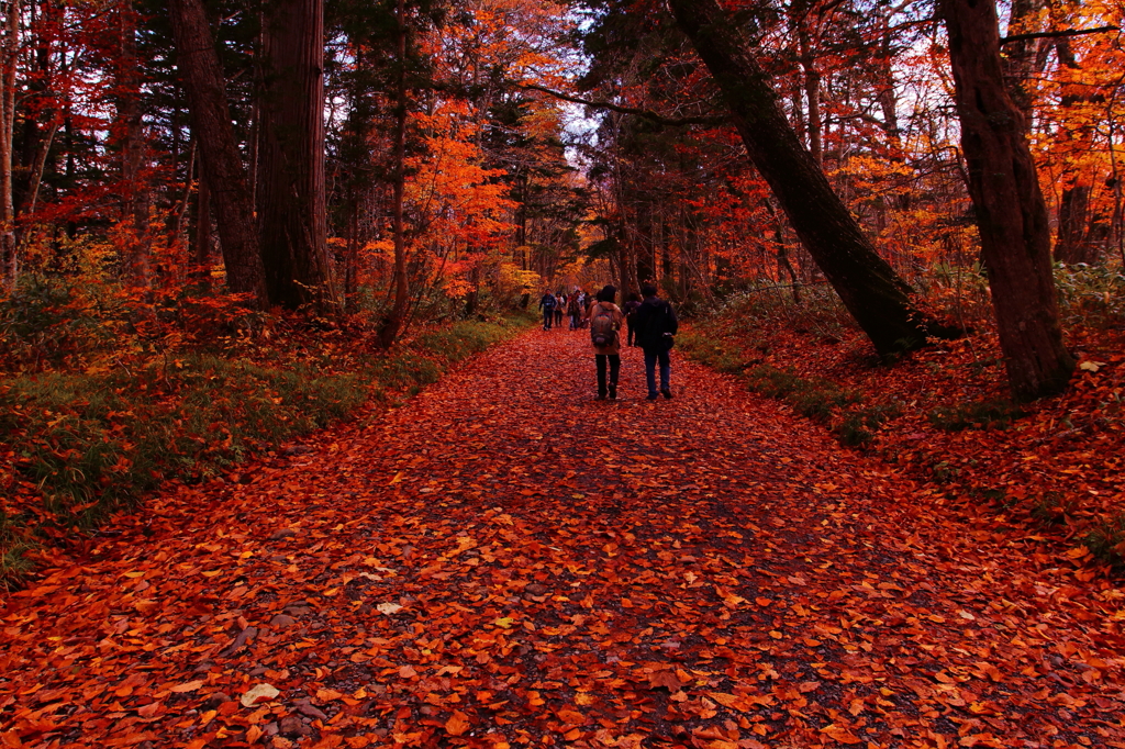 autumn