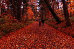 autumn