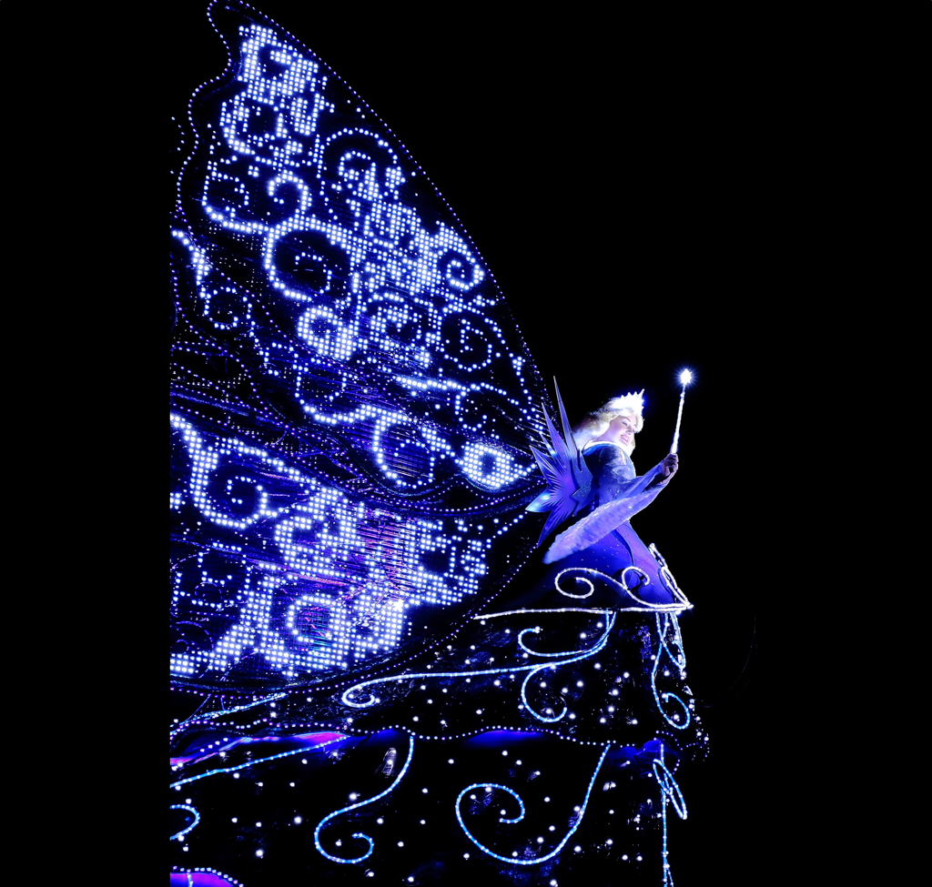 disney night