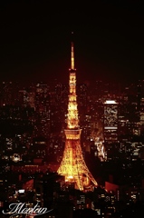 東京タワー健在！！