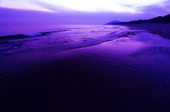 purple sea