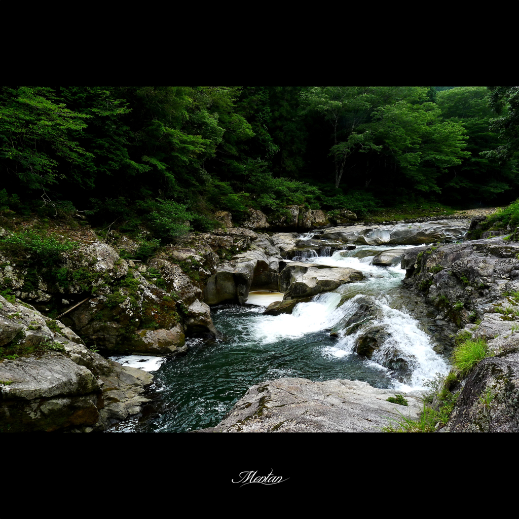 緑の中で…