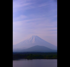 上品に染まる…