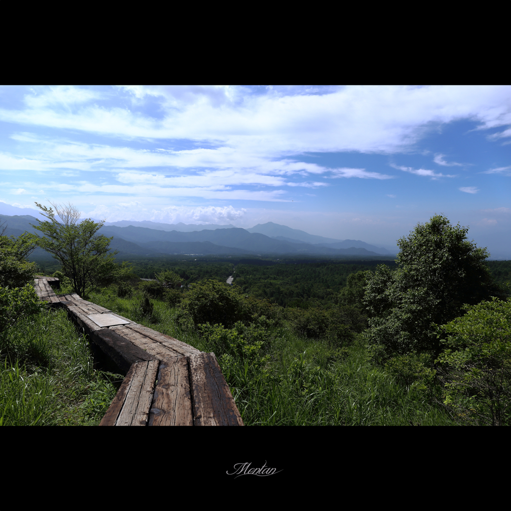朝の散歩道