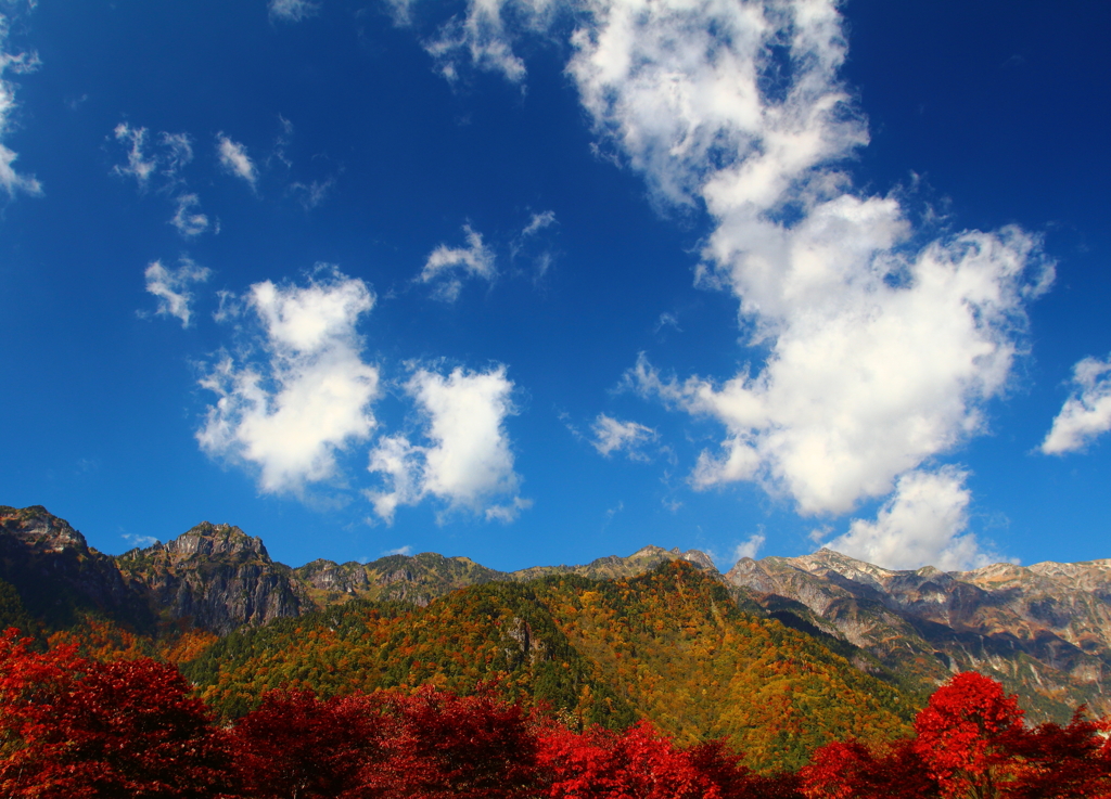 紅の上に広がる世界
