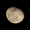 セレストロン　天体望遠鏡1250mm　月