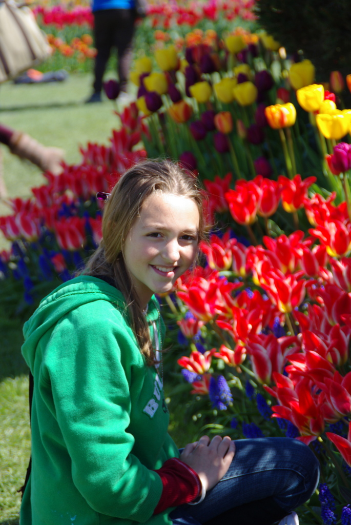 TULIPS