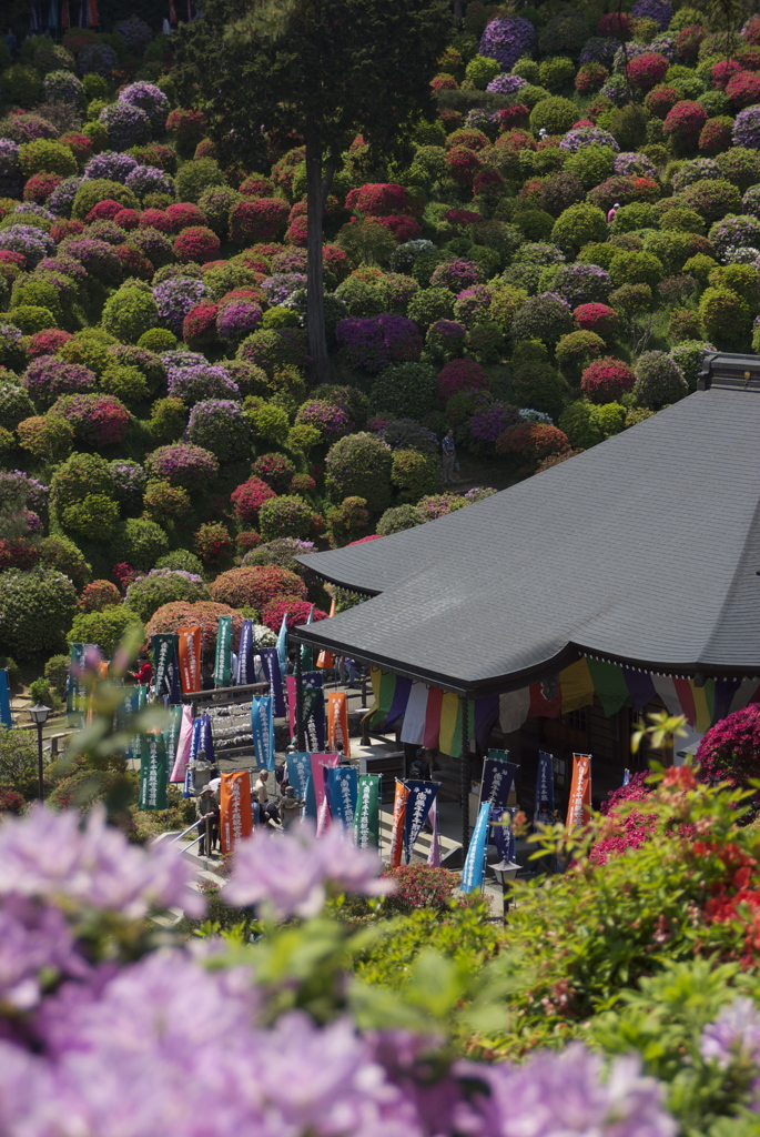 塩船観音寺