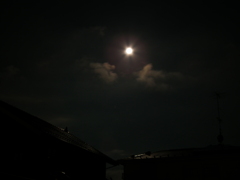 DSCF2614
