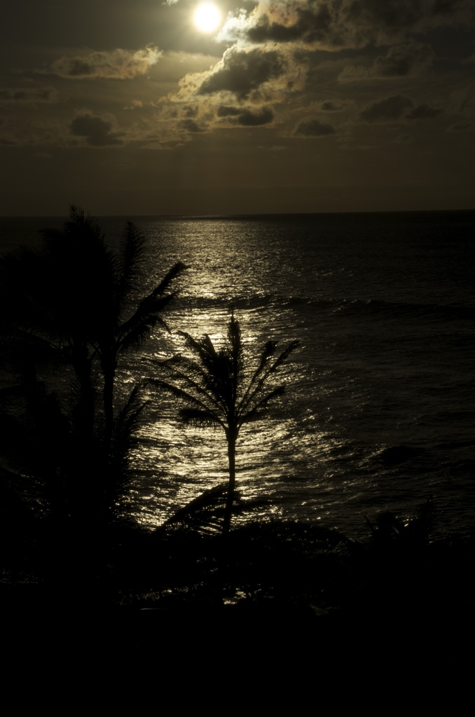 KAHUKU sunset #3